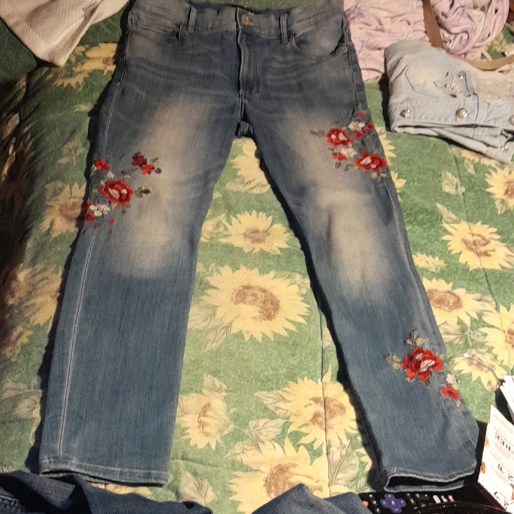 Express Embroidered Floral Blue Jeans Size 10 R